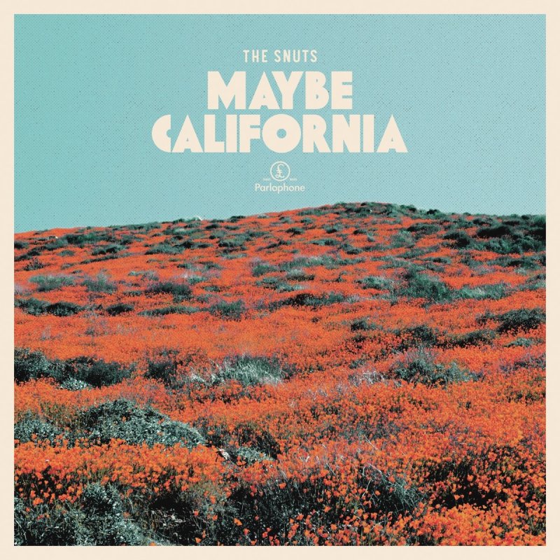 The Snuts Maybe California Lyrics Musixmatch