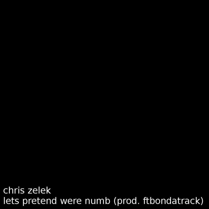 Chris Zelek Let S Pretend We Re Numb Songtext Musixmatch As a fair warning to everyone listening to this song i advise you to not hide your feelings don't pretend to be okay when you're not it'll be alright soon i'll forever be the, i'll forever be the elephant in the room i'll always love you, i'm sorry. musixmatch