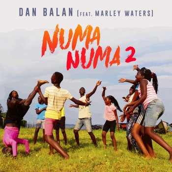 Numa Numa 2 Remixes By Dan Balan Feat Marley Waters Album