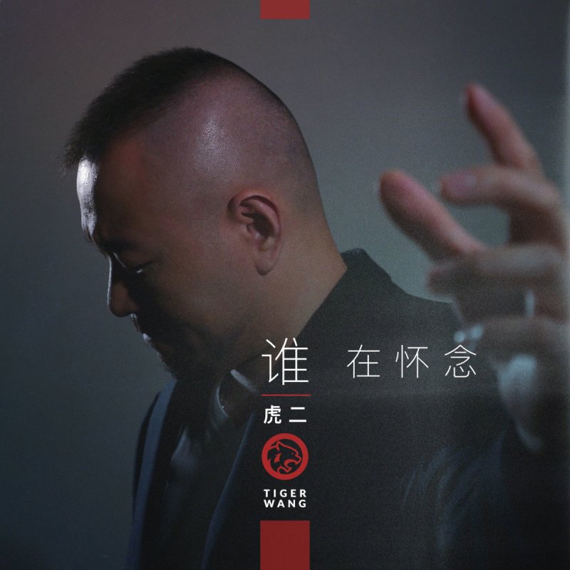 虎二 谁在怀念lyrics Musixmatch