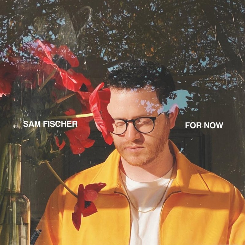 Sam Fischer For Now Lyrics Musixmatch