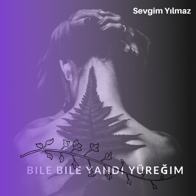 Noyan Aksoy Feat Sevgim Yilmaz Bile Bile Yandi Yuregim Songtext Musixmatch Sevgim yılmaz bile bile yandı yüreğim. noyan aksoy feat sevgim yilmaz bile