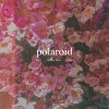 Polaroid lyrics – album cover