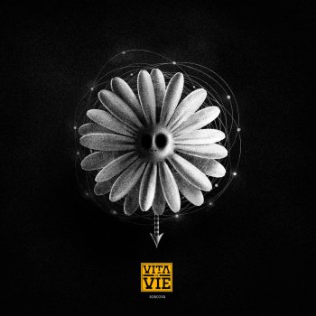 Acustic By Vița De Vie Album Lyrics Musixmatch Song Lyrics And Translations
