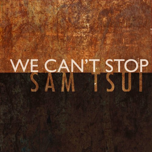 We Can't Stop (Originally Performed By Miley Cyrus) [Acoustic]