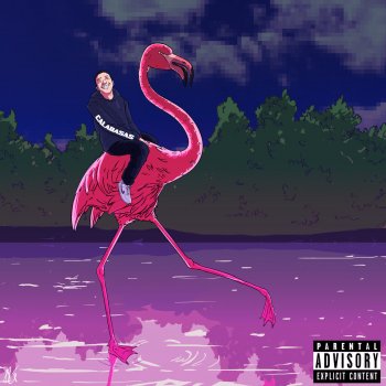 Flamingo By Token Album Lyrics Musixmatch Song Lyrics And