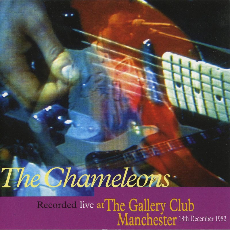 Letra de Paper Tigers de The Chameleons Musixmatch
