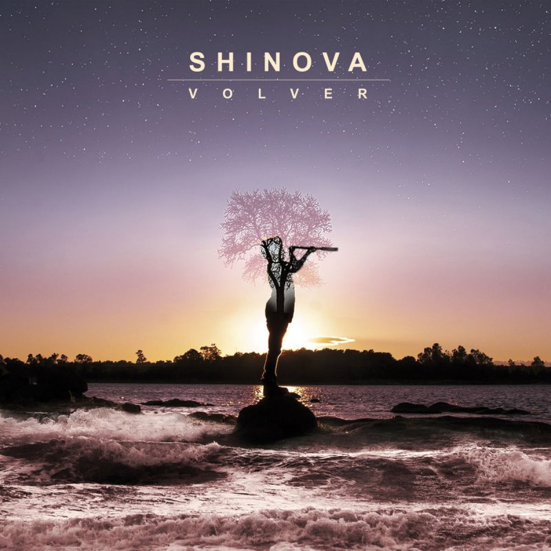 shinova viajero lyrics musixmatch
