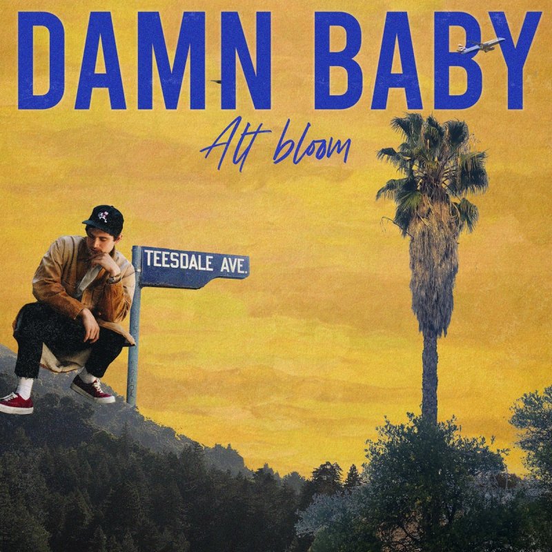 Alt Bloom Damn Baby Lyrics Musixmatch