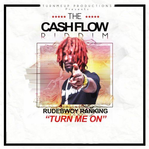 Turn Me On (The Cashflow Riddim) [Turn Me Up Productions Presents]