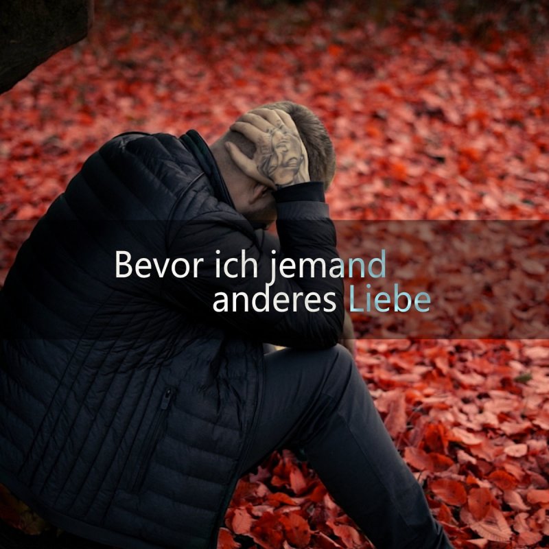 Zate Bevor Ich Jemand Anderes Liebe Songtext Musixmatch
