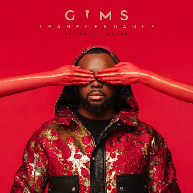 Maitre Gims Feat Maluma Hola Senorita Lyrics Musixmatch