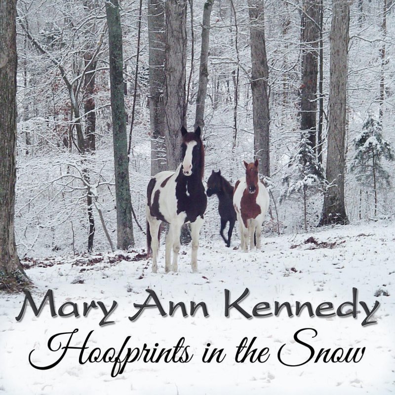 Mary ann kennedy nashville gays