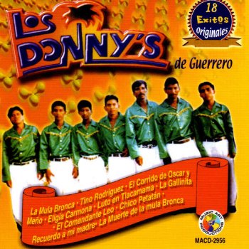 El Coyote De Cuaji Testo Los Donnys De Guerrero Mtv Testi E