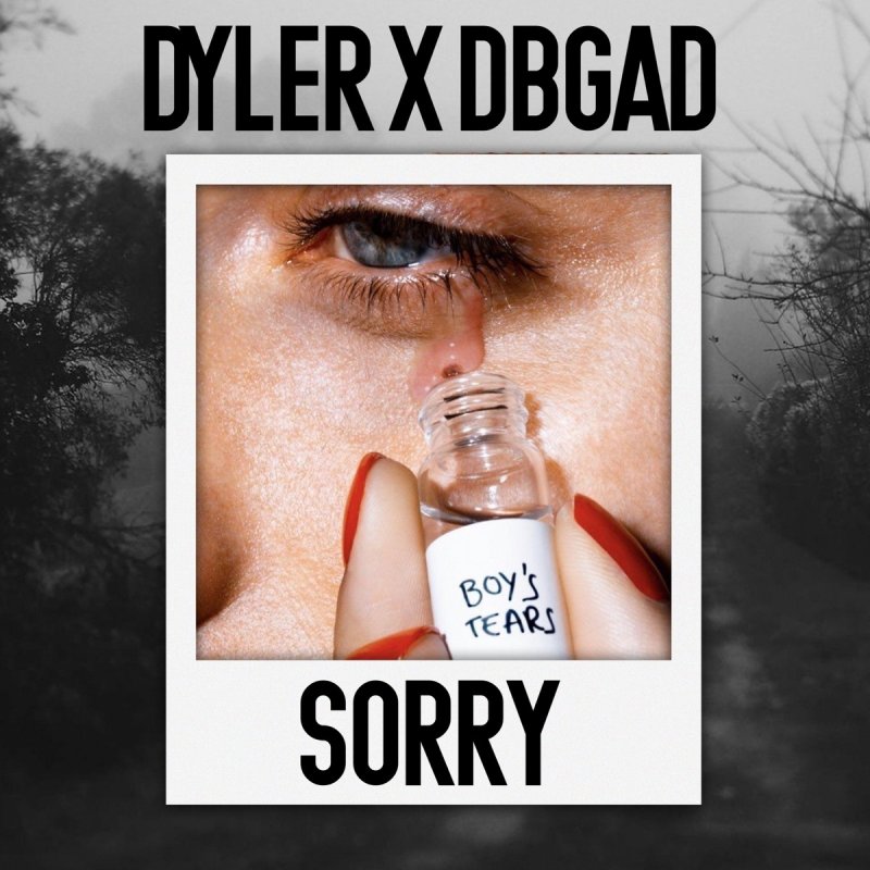 Dyler Feat Db Gad Sorry Lyrics Musixmatch