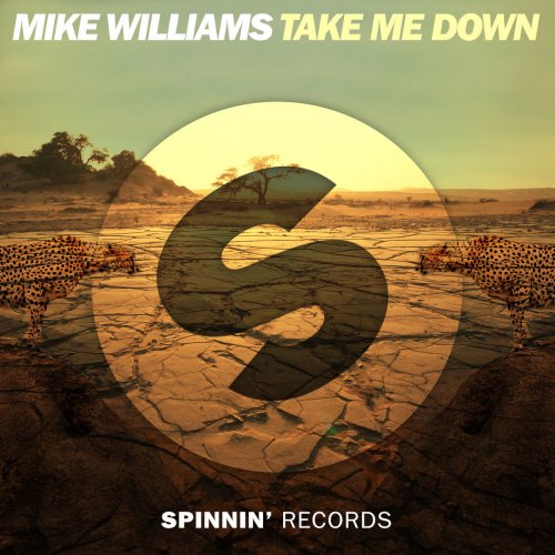 Take Me Down - Single