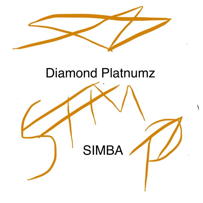 Diamond Platnumz African Beauty Lyrics Musixmatch