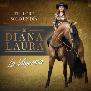 Te Llore Solo Un Dia Testo Diana Laura Mtv Testi E Canzoni Alguien te ha llamado, sécate, estás llorando un mar. testi canzoni