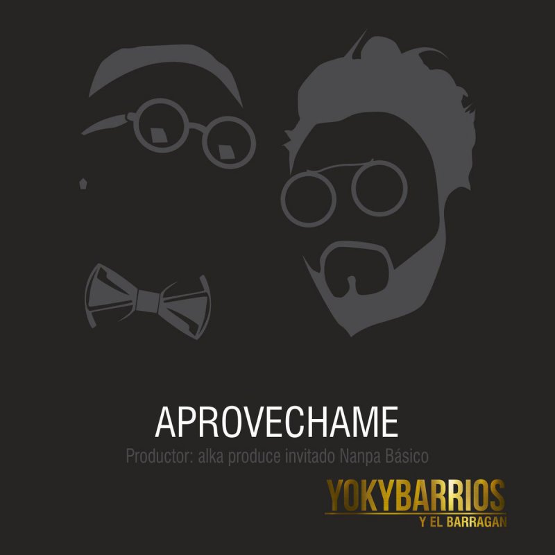 Yoky Barrios Feat Nanpa Basico Aprovechame Lyrics Musixmatch Aprovechame es una cancion de nanpa basico y yoky barrios. yoky barrios feat nanpa basico