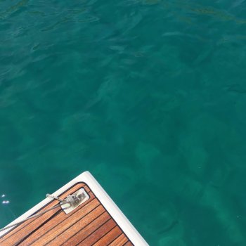 Chien Sale Pure Race By Bengee Album Lyrics Musixmatch