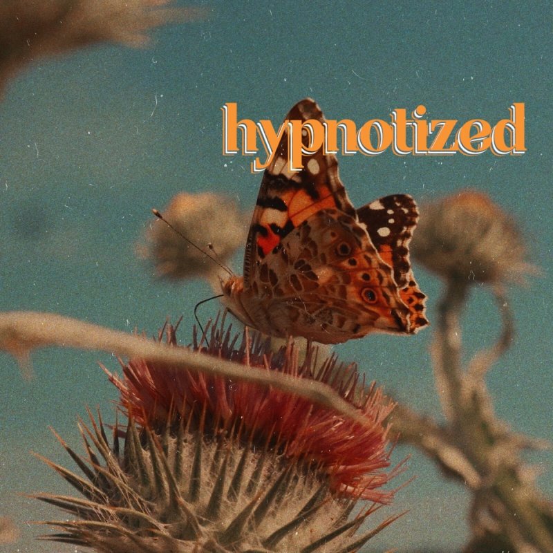 Weston Estate Feat Marco Luka Tanu Hypnotized Lyrics Musixmatch