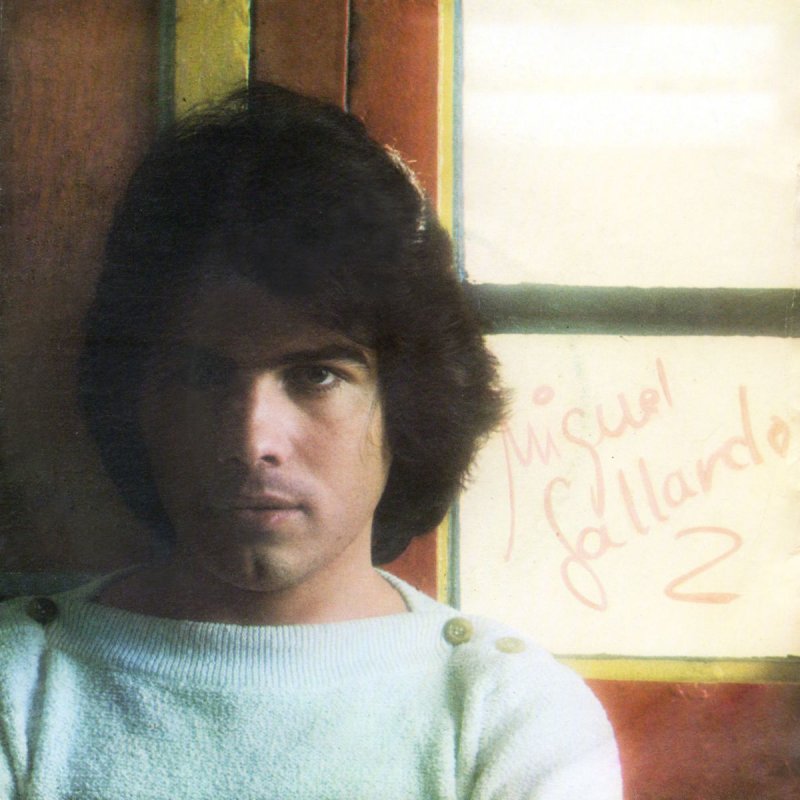 Miguel Gallardo Hoy Tengo Ganas De Ti Lyrics Musixmatch
