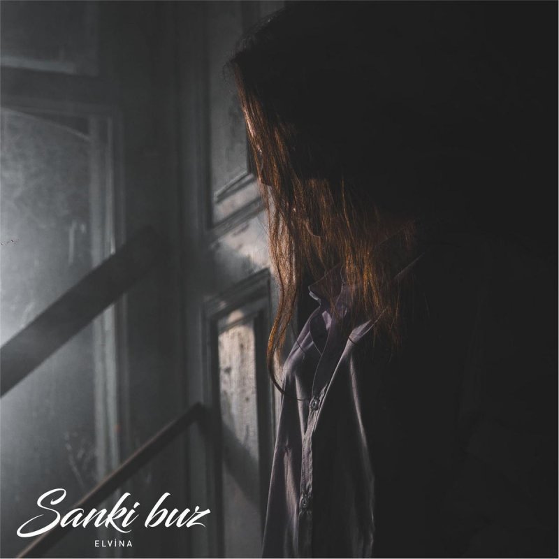 Elvina Sanki Buz Songtext Musixmatch