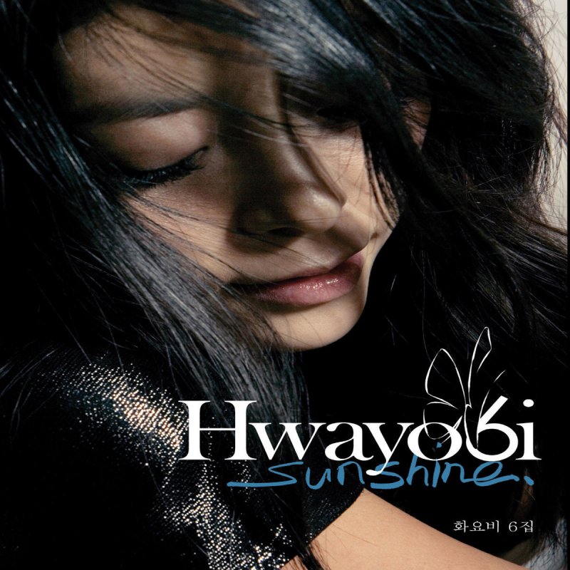 Hwayobi Fly Away Lyrics Musixmatch Hwayobi Fly Away Lyrics Musixmatch