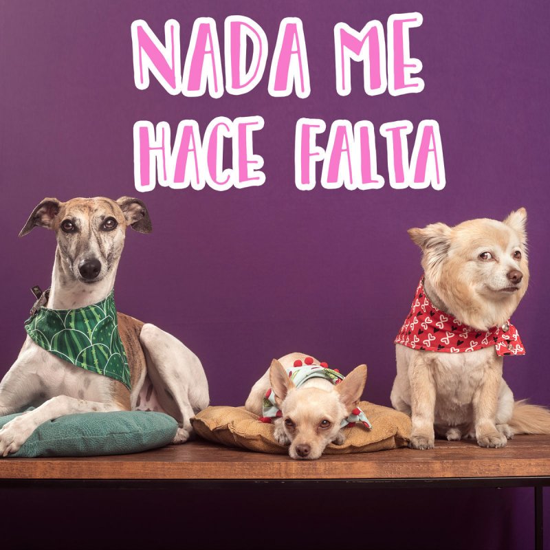 Yoseline Hoffman Letra De Nada Me Hace Falta Musixmatch