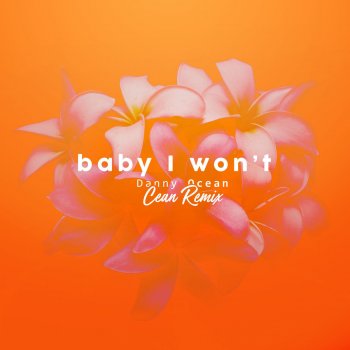 Baby I Won't (Cean Remix)