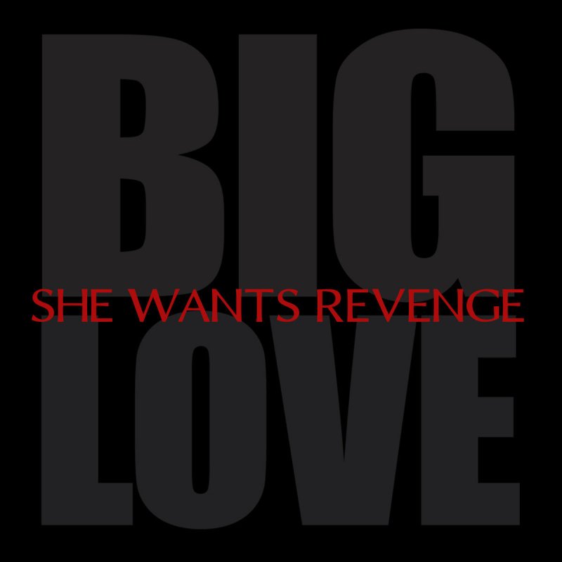 She Wants Revenge Big Love Lyrics Musixmatch
