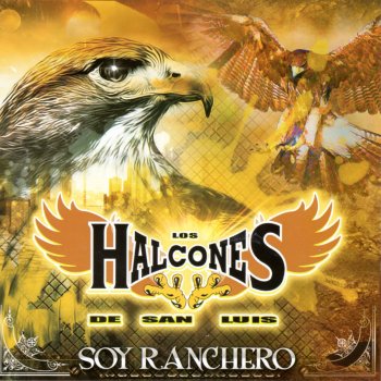 Letras Del Album Los Halcones De San Luis De Los Halcones De San Luis Musixmatch El Catalogo De Letras Mas Grande Del Mundo Chords for los halcones de san luis que alcabo y que.: san luis de los halcones de san luis