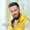 Vay Delikanlı Gönlüm lyrics – album cover