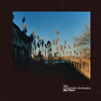 To Build A Home Traduzione The Cinematic Orchestra Feat Patrick Watson Mtv Testi E Canzoni