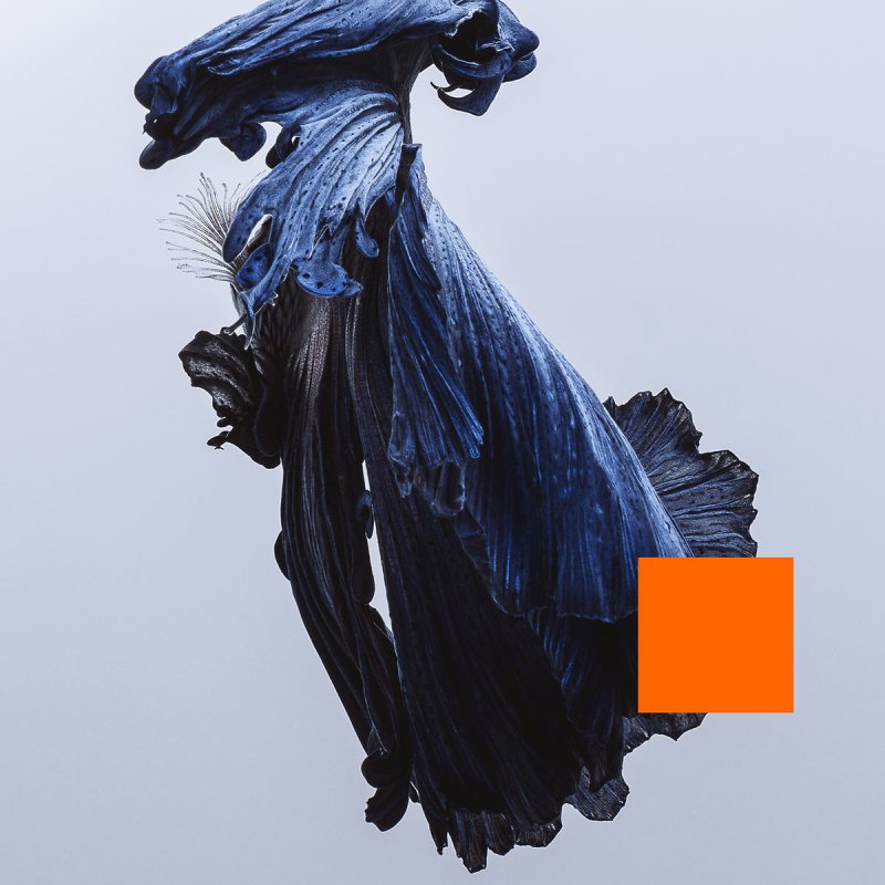 Talos To Each His Own Lyrics Musixmatch