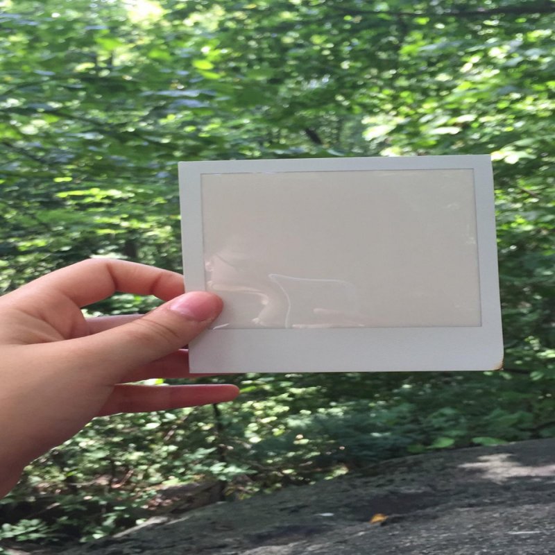 Beowulf We Accept The Love We Think We Deserve Lyrics Musixmatch