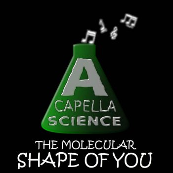 Shape Of You Song Lyrics