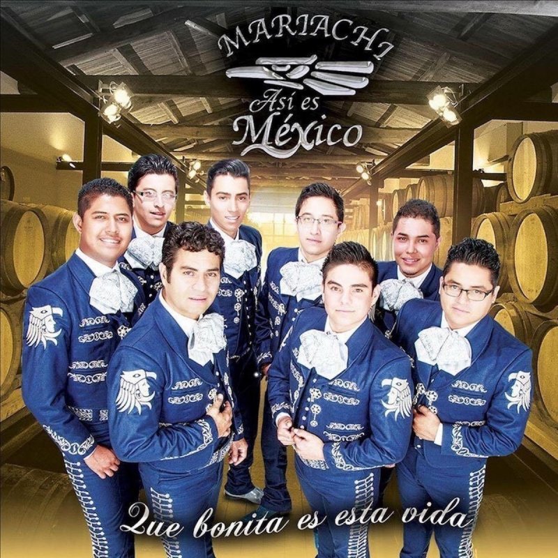 Letra De Que Bonita Es Esta Vida De Mariachi As Es M xico Musixmatch
