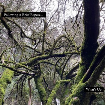 La Tine By What S Up Album Lyrics Musixmatch Song Lyrics And Translations