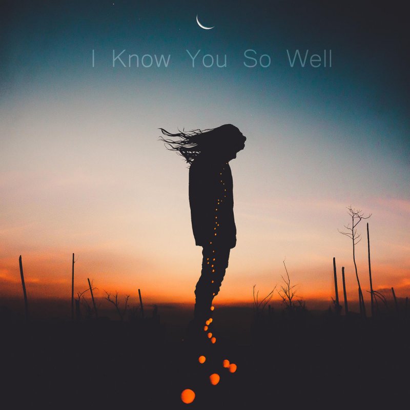 Ondi Vil Feat Diza I Know You So Well Lyrics Musixmatch
