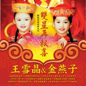 add lyrics to 王雪晶 by 大家过肥年 (with 金燕子) lyrics