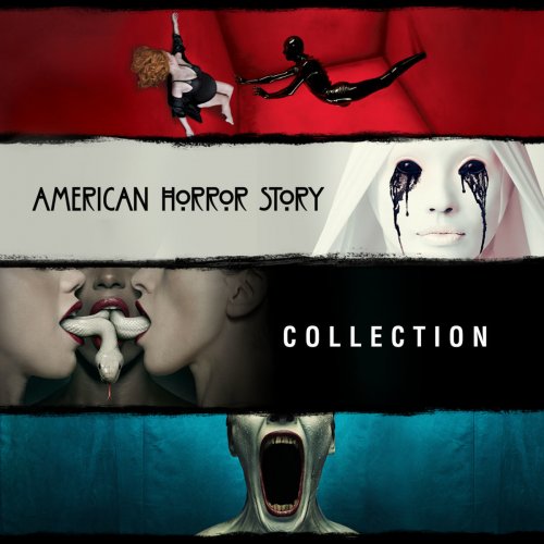 American Horror Story, Seasons 1 - 4
