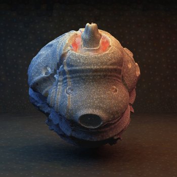 Momentum By Joe Goddard Album Lyrics Musixmatch musixmatch