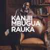 Mfalme Mkuu lyrics – album cover