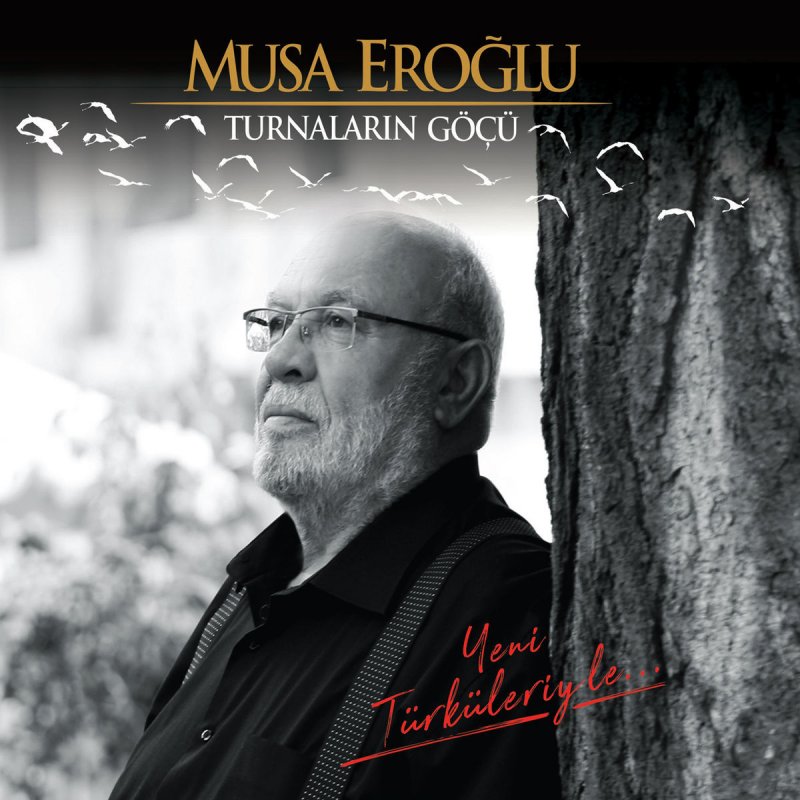 Musa Eroglu Turnalarin Gocu Lyrics Musixmatch