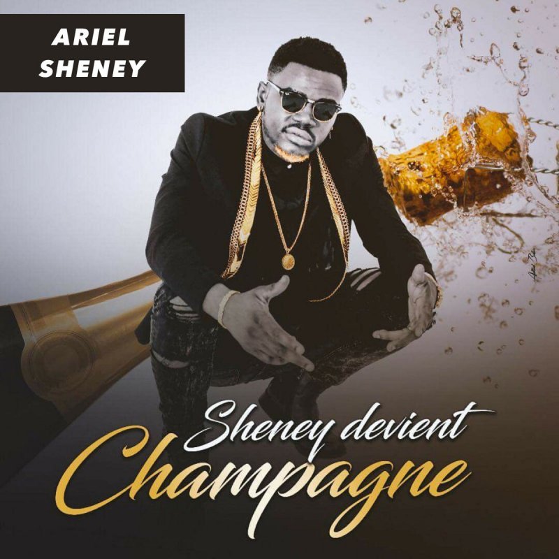 TÉLÉCHARGER ARIEL SHENEY PINGOUIN MP3 GRATUITEMENT SHENEY GRATUITEMENT ARIEL MP3 TÉLÉCHARGER PINGOUIN