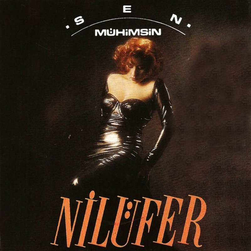 Nilufer Gozlerinin Hapsindeyim Lyrics Musixmatch