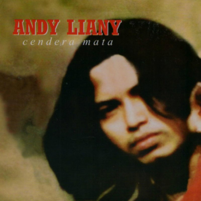 Andy Liany Langkah Menuju Harapan Lyrics Musixmatch