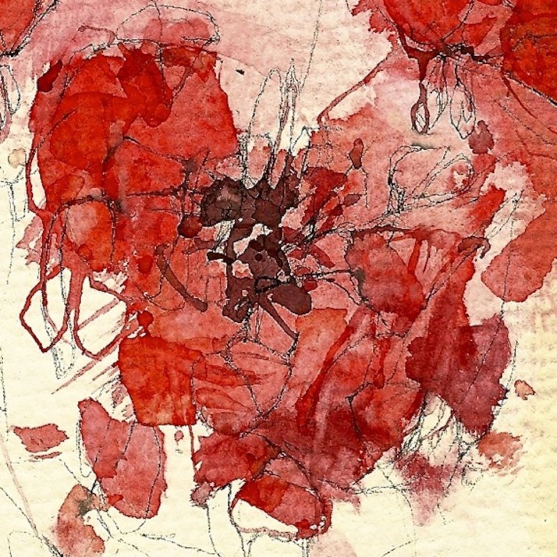 Peter Bradley Adams feat. ALIAS Chamber Ensemble Little Flower Lyrics