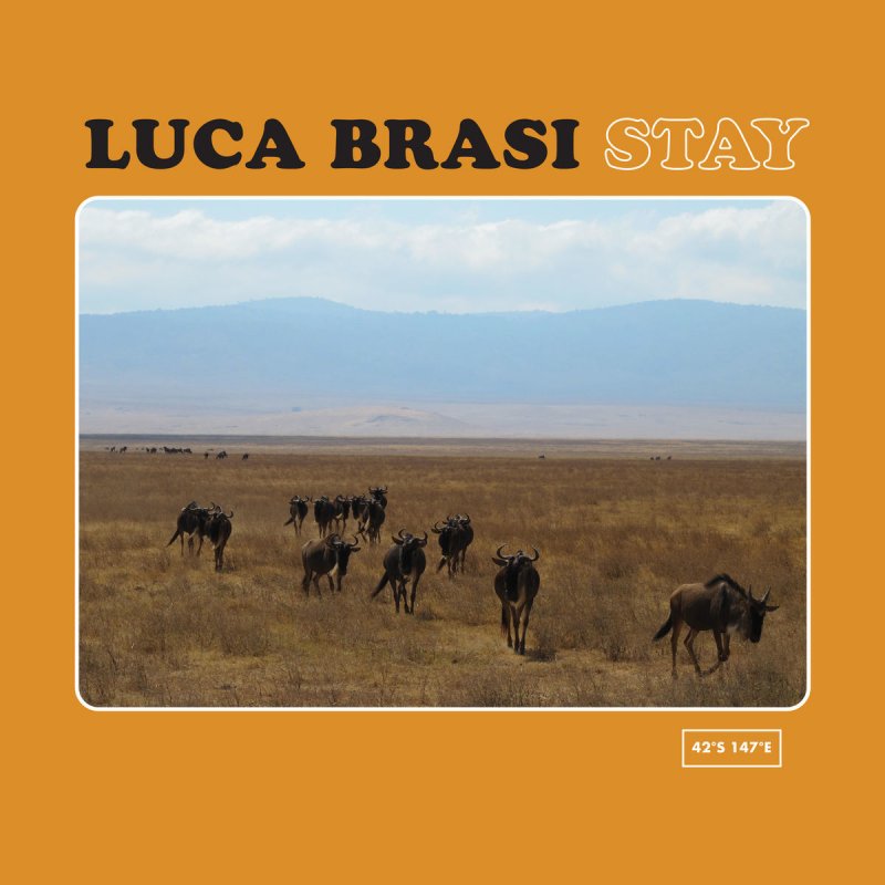 Luca Brasi Got To Give Lyrics Musixmatch